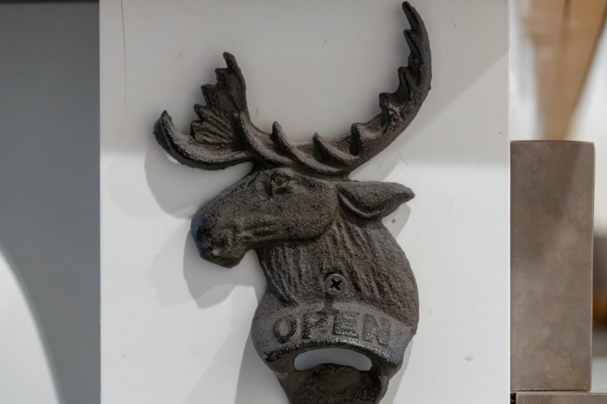 The Loose Moose Cabin #9 At Downtown Grand Lake 格兰德莱克 外观 照片